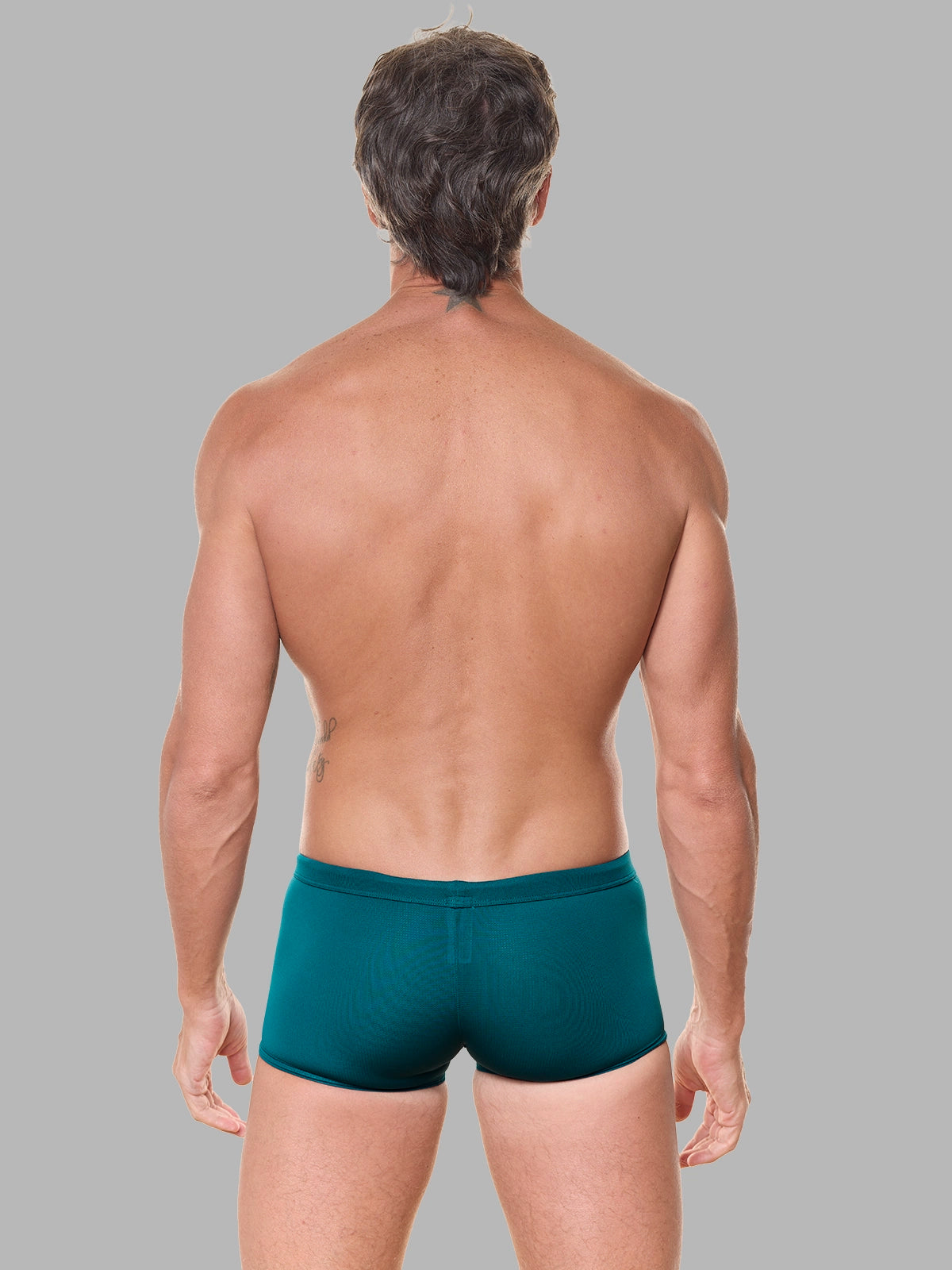 Boxer Aria Turmalina